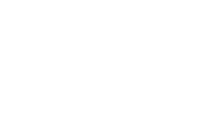 Modern Pines